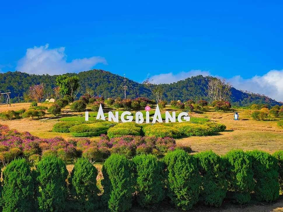 lang biang lang biang