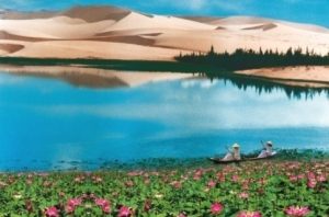 Tour Hà Nội - TP.HCM - Mũi Né : Bàu Sen