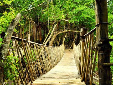 Cầu treo buôn Đôn Buôn Ma Thuột