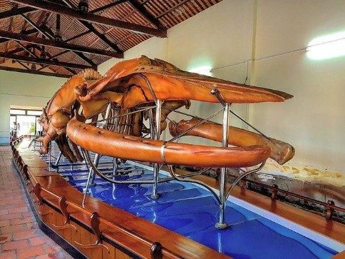 Dinh vạn Thủy Tú Bình Thuận Dinh vạn Thủy Tú Bình Thuận