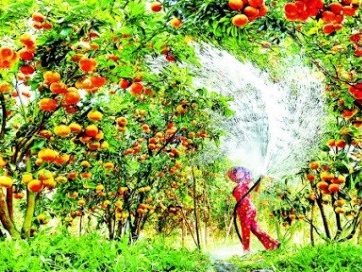 KDL Mỹ Khánh KDL Mỹ Khánh
