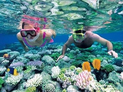 Lặn ngắm san hô Hòn Cau Côn Đảo