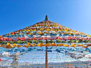 Ngũ thái Cáp Đạt
