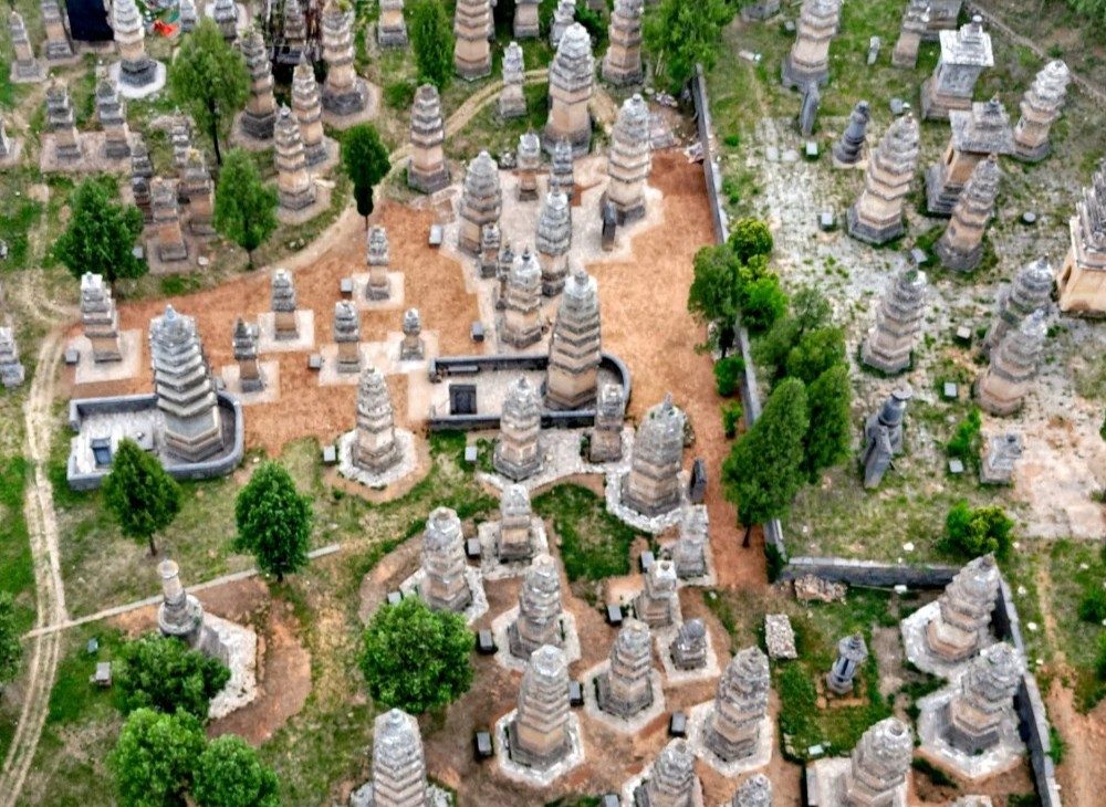 Rừng Tháp Rừng Tháp