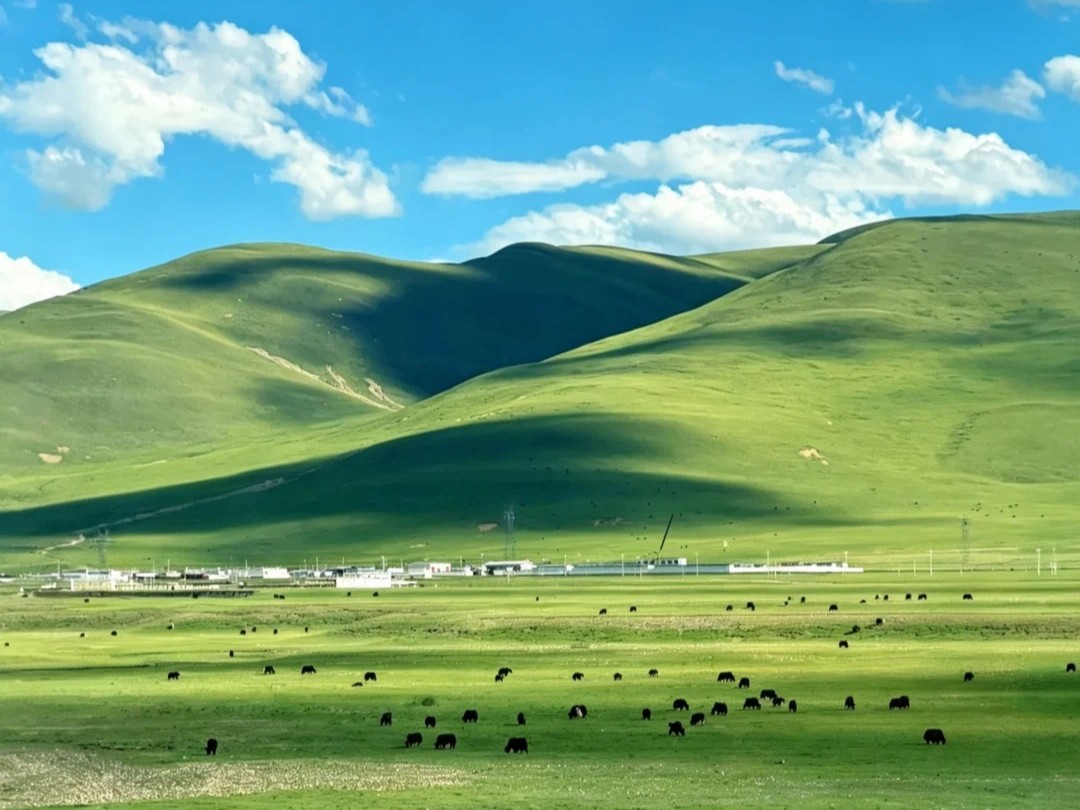 Tây Tạng