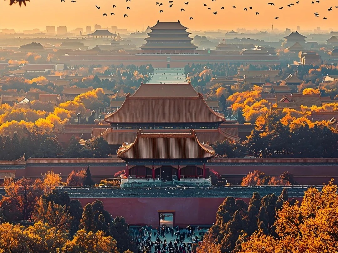 Tử Cấm Thành Tử Cấm Thành