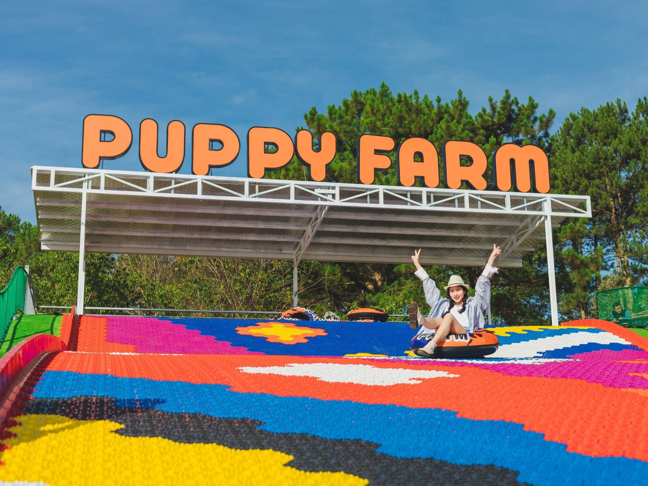 puppy farm puppy farm