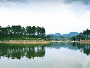 rừng thông Bản Áng