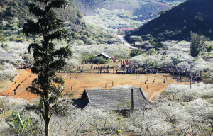 thung lũng mận Nà Ka