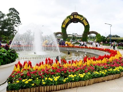 vườn hoa thành phố