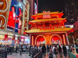 Phố đi bộ BK (1)